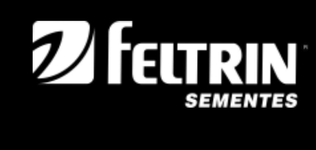 Feltrin