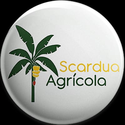 Scardua